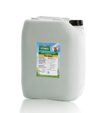 Lade das Bild in den Galerie-Viewer, Ezinger Vitamix Vita Speed